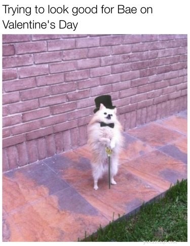18 Hilarious Valentine s Day Memes to Share with Your Significant Other