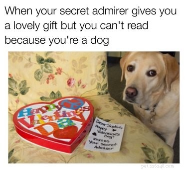 18 Hilarious Valentine s Day Memes to Share with Your Significant Other