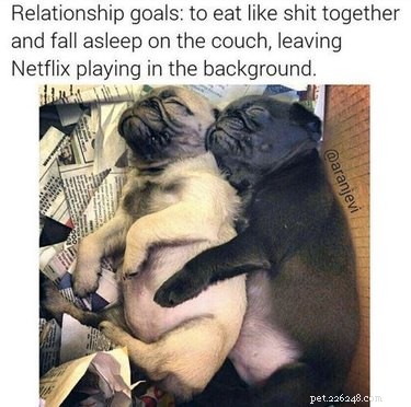 18 Hilarious Valentine s Day Memes to Share with Your Significant Other