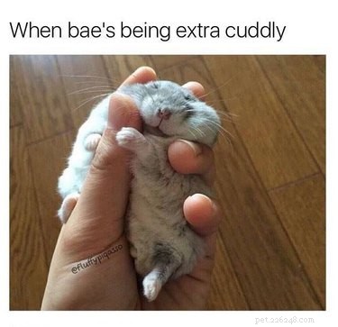 18 Hilarious Valentine s Day Memes to Share with Your Significant Other