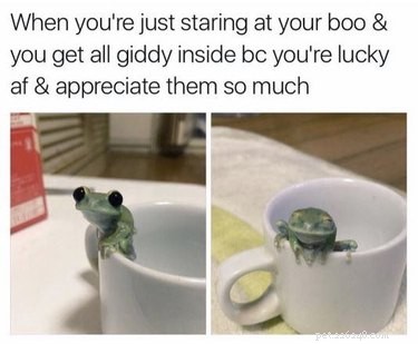 18 Hilarious Valentine s Day Memes to Share with Your Significant Other