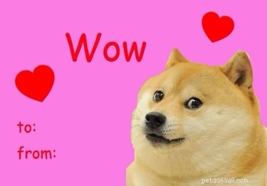 18 Hilarious Valentine s Day Memes to Share with Your Significant Other
