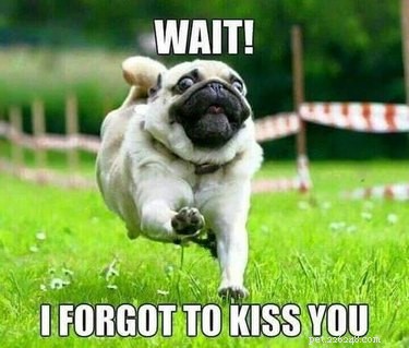18 Hilarious Valentine s Day Memes to Share with Your Significant Other