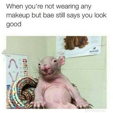 18 Hilarious Valentine s Day Memes to Share with Your Significant Other