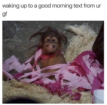 18 Hilarious Valentine s Day Memes to Share with Your Significant Other