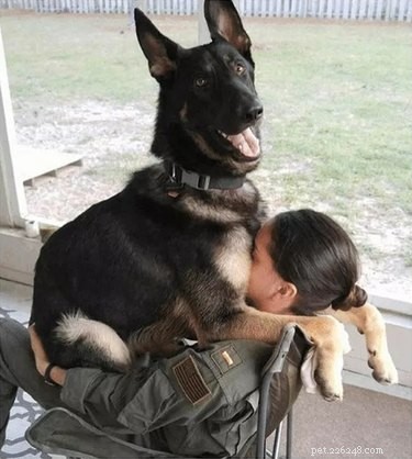 21 Animals That Overlook Their Own Massive Size