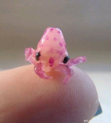 28 Adorable Baby Animals That Will Melt Your Heart