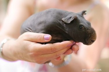 28 Adorable Baby Animals That Will Melt Your Heart