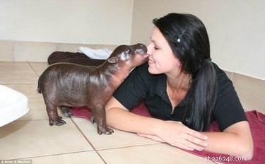 28 Adorable Baby Animals That Will Melt Your Heart