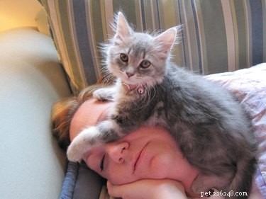 24 Key Insights to Expect After Adopting a Shelter Pet