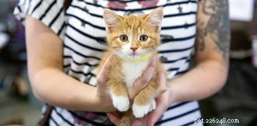 Adorable Shelter Pet Outtakes That Showcase Unique Charms