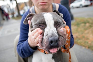 Adorable Shelter Pet Outtakes That Showcase Unique Charms
