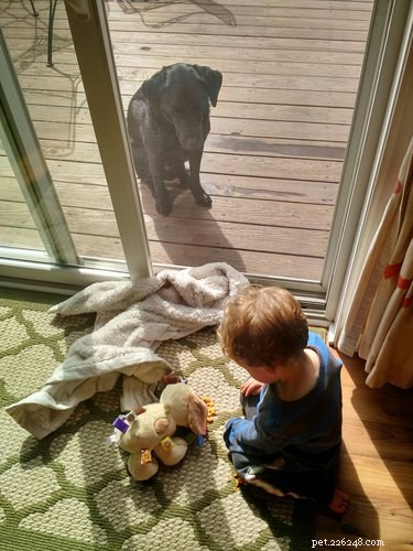 33 Adorable Pets Ready to Join You Indoors—Cute Tales & Tips