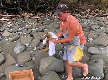 Predators Near Baby Sloth in Costa Rica: A Heroic Rescue Story