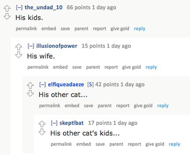 Girl Realizes She s the Third Party in a Furry Love Triangle