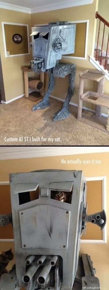 29 Pets That Truly Bring the Force to Life