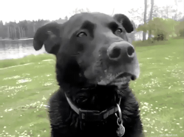 33 Animals That Prefer Spring Over Winter