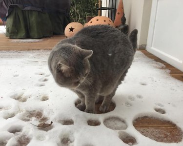 33 Animals That Prefer Spring Over Winter