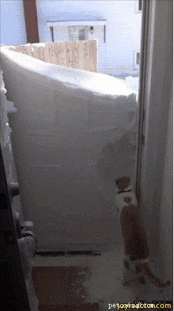33 Animals That Prefer Spring Over Winter