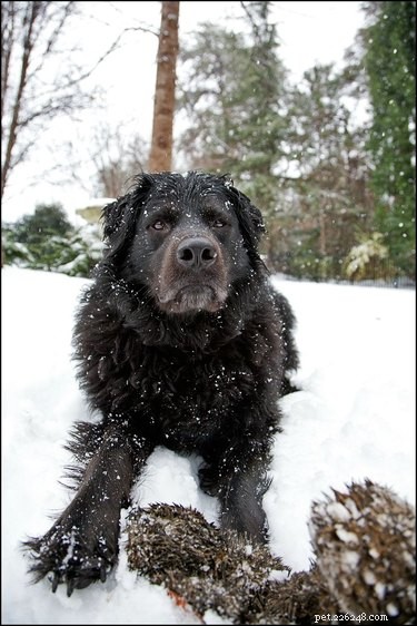 33 Animals That Prefer Spring Over Winter