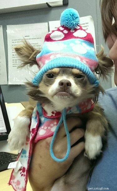 33 Animals That Prefer Spring Over Winter