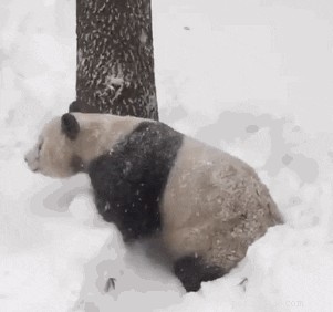 33 Animals That Prefer Spring Over Winter
