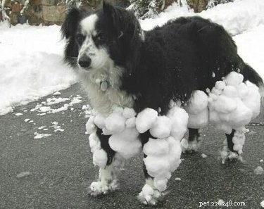 33 Animals That Prefer Spring Over Winter