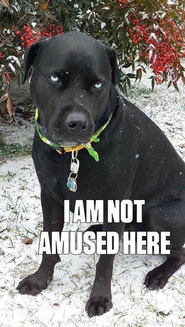 33 Animals That Prefer Spring Over Winter