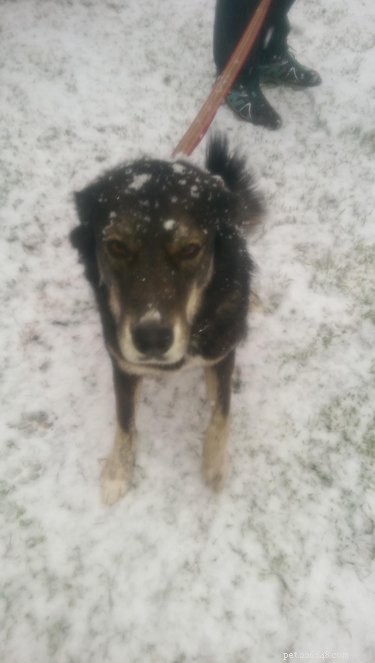 33 Animals That Prefer Spring Over Winter