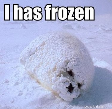 33 Animals That Prefer Spring Over Winter