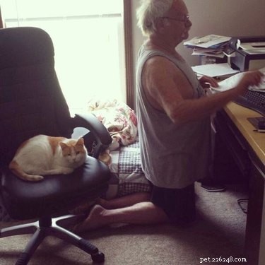 24 Adorable Pets Playfully Teasing Their Owners