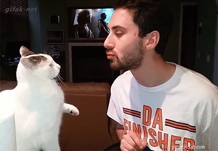 24 Adorable Pets Playfully Teasing Their Owners