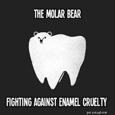 56 Animal Puns That Will Have You Laughing Out Loud