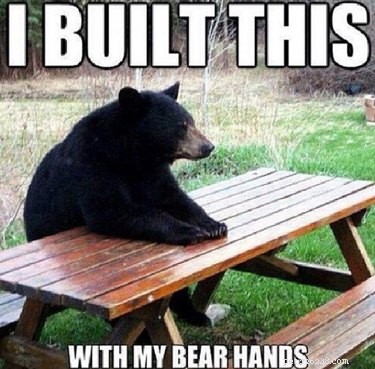 56 Animal Puns That Will Have You Laughing Out Loud