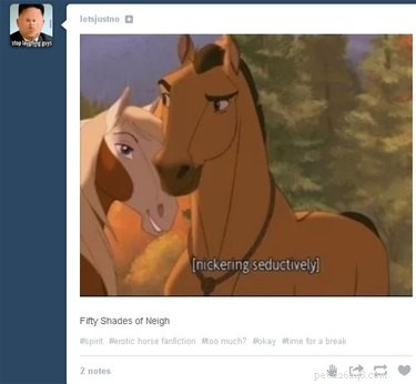 56 Animal Puns That Will Have You Laughing Out Loud