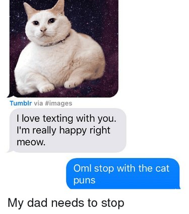 56 Animal Puns That Will Have You Laughing Out Loud