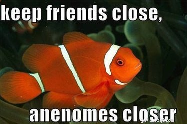 56 Animal Puns That Will Have You Laughing Out Loud