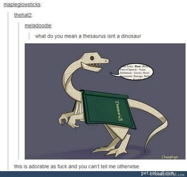 56 Animal Puns That Will Have You Laughing Out Loud