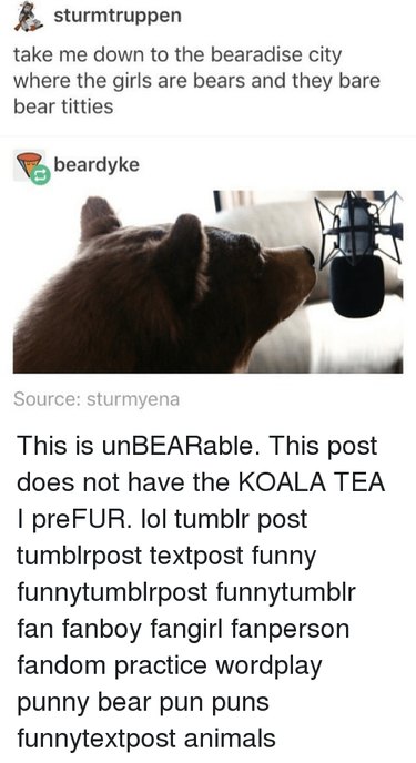 56 Animal Puns That Will Have You Laughing Out Loud