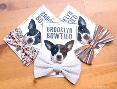 Top Holiday Pet Gifts on Etsy: Adorable & Must-Have Picks