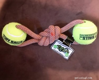 Top Holiday Pet Gifts on Etsy: Adorable & Must-Have Picks