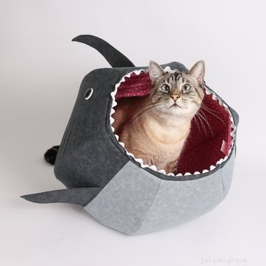 Top Holiday Pet Gifts on Etsy: Adorable & Must-Have Picks
