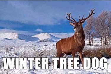 Accurate Animal Names That Will Surprise You