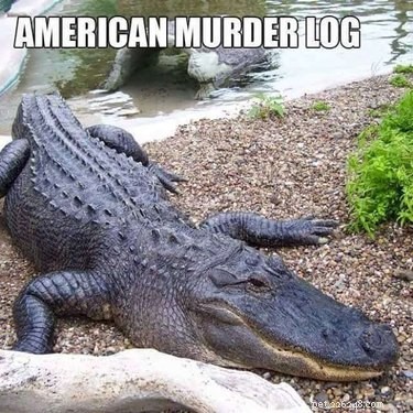 Accurate Animal Names That Will Surprise You