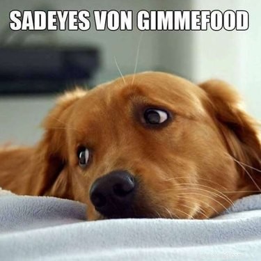 Accurate Animal Names That Will Surprise You