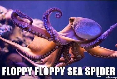 Accurate Animal Names That Will Surprise You
