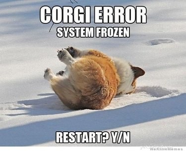 29 Hilarious Corgi Memes That Will Make Every Dog Lover Laugh