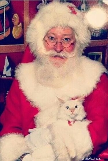 23 Pets Who Earned Santa’s Praise This Holiday Season