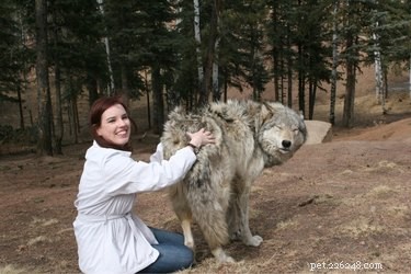 18 Adorable Pets That Will Brighten Your Day