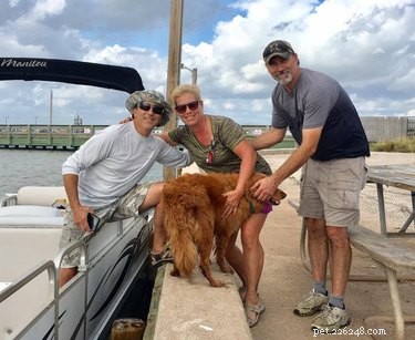 Fisherman Saves Stranded Dog Found in Gulf of Mexico